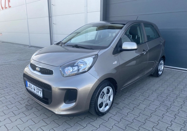 Kia Picanto cena 27950 przebieg: 130800, rok produkcji 2016 z Nowogrodziec małe 667